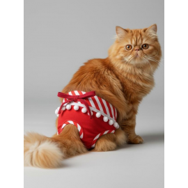 Frilly Red Dişi Kedi Regl Külotu | Kedi Donu | Kedi İç Çamaşırı | Ayarlanabilir Bağcıklı | Küçük Irklar İçin