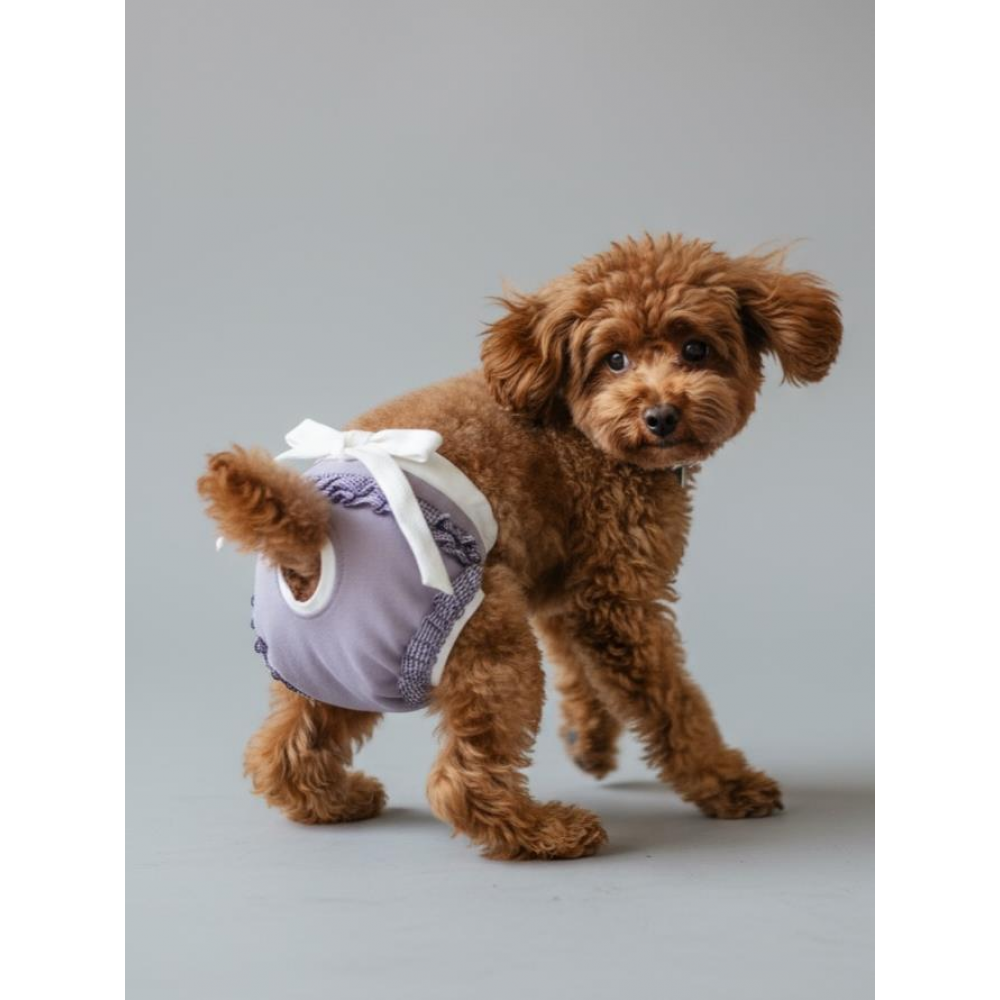 Princess Lila Dişi Köpek Regl Külotu | Köpek Donu | Köpek İç Çamaşırı | Ayarlanabilir Bağcıklı | Küçük Irklar İçin