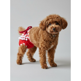 Red Frilly Dişi Köpek Regl Külotu | Köpek Donu | Köpek İç Çamaşırı | Ayarlanabilir Bağcıklı | Küçük Irklar İçin