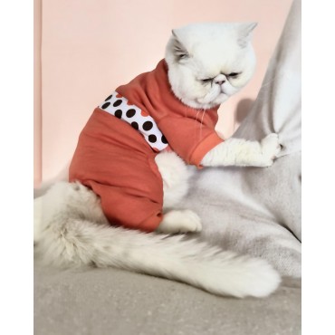 Puanti Kalın Penye Kedi Tulum Pijama