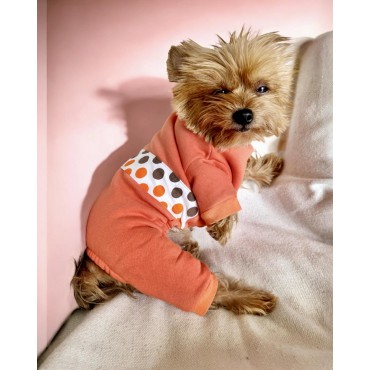 Puanti Kalın Penye Köpek Tulum Pijama