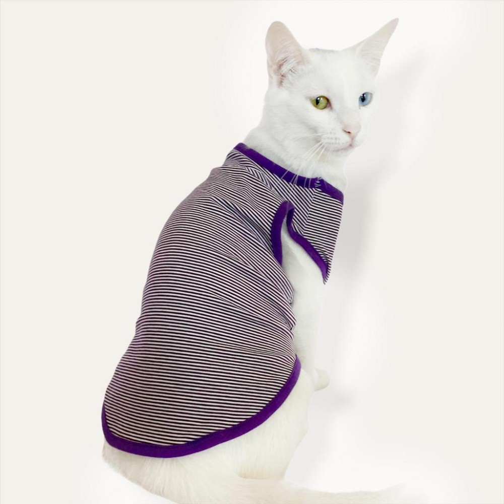 Purple Stripe Atlet By Kemique Kedi Kıyafeti Kedi Elbise