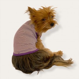Purple Stripe by Kemique  Köpek Kıyafeti Köpek Elbise