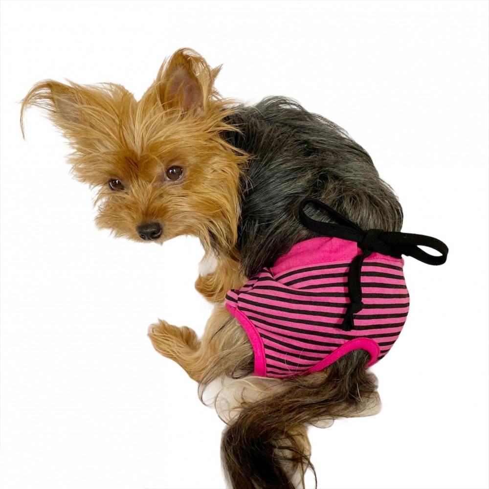 Purple Stripe Kemique�s SECRET Köpek İç Çamaşırı REgl Külot DON
