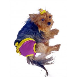 Purple Yellow Kemique's Secret Köpek İç Çamaşırı Regl Külot Don