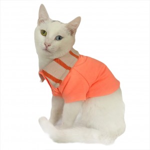 Salmon Flash Polo Yaka Tişört Kedi Kıyafeti  Kedi Elbisesi