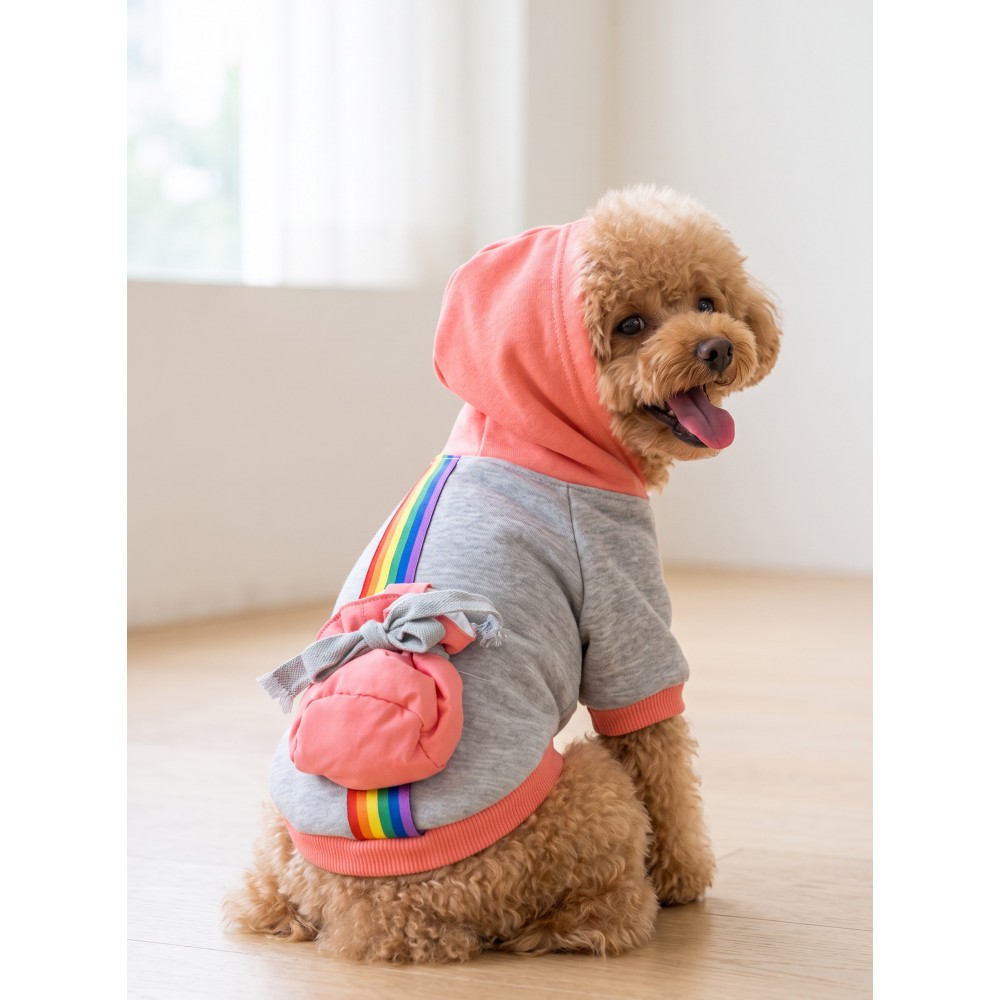 Rainbow Köpek Sweatshirt | Kapüşonlu Gökkuşağı Detaylı Köpek Kıyafeti | Köpek Hoodie