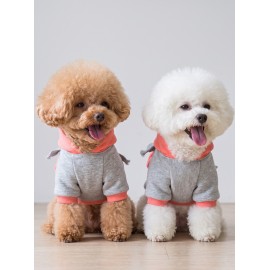 Rainbow Köpek Sweatshirt | Kapüşonlu Gökkuşağı Detaylı Köpek Kıyafeti | Köpek Hoodie