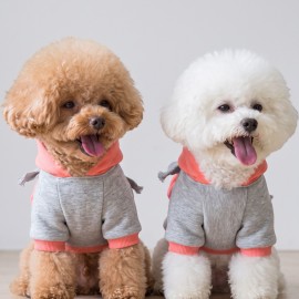 Rainbow Köpek Sweatshirt | Kapüşonlu Gökkuşağı Detaylı Köpek Kıyafeti | Köpek Hoodie
