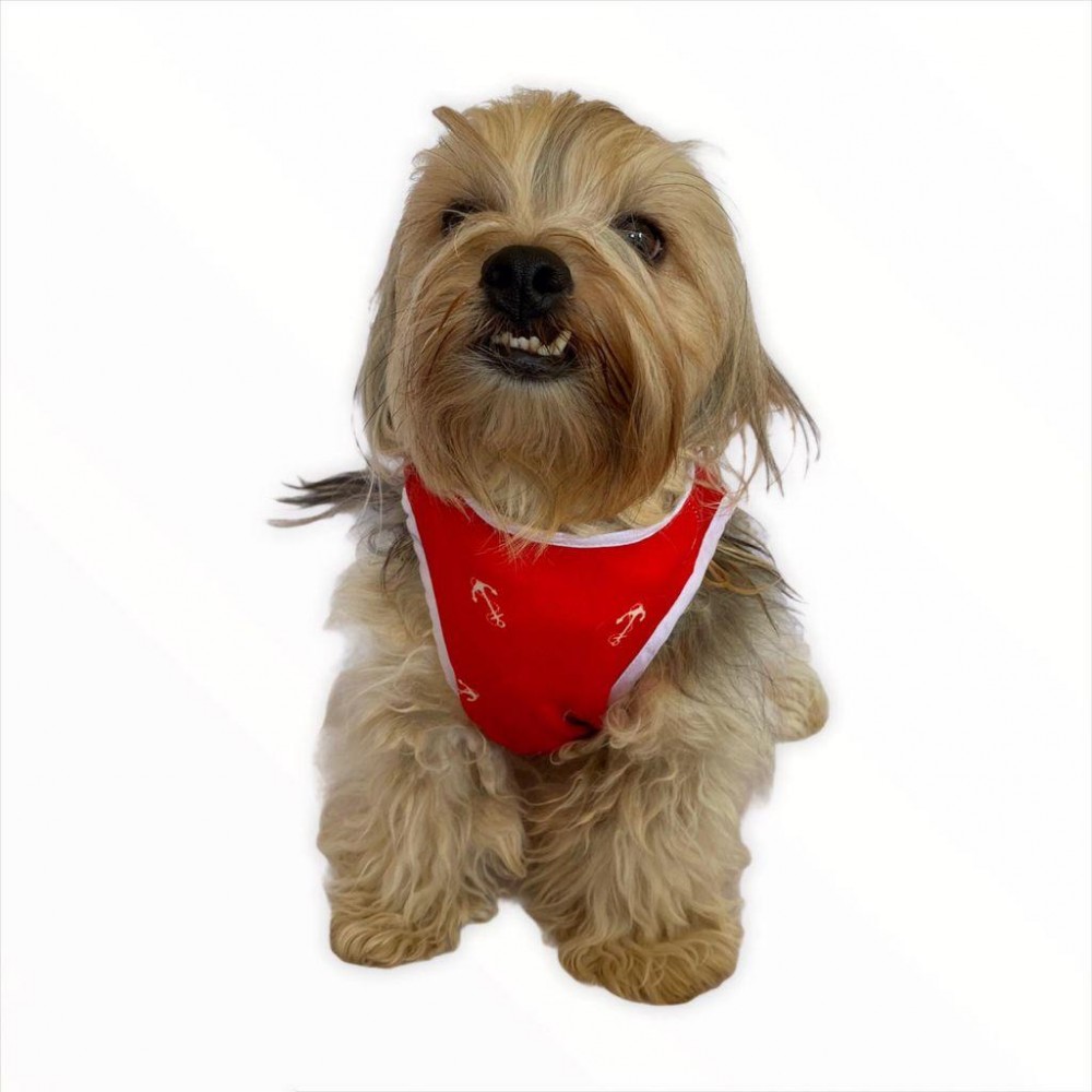 Red Anchor Atlet By Kemique Köpek Kıyafeti Köpek Elbise