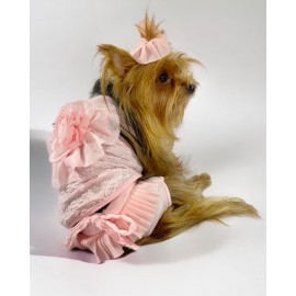 Rosie Rose Tişört ve İç Çamaşırı Set Köpek Kıyafeti Köpek Kostümü