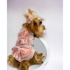 Rosie Rose Tişört ve İç Çamaşırı Set Köpek Kıyafeti Köpek Kostümü