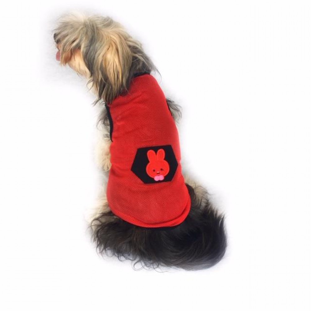 Red BUNNY Atlet Kedi Kıyafeti Kedi Elbisesi