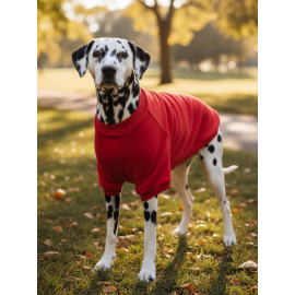 Reddy Kırmızı Kapşonsız Sweatshirt, Orta ve Büyük Irklar İçin