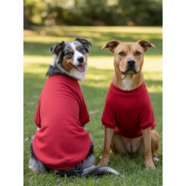 Reddy Kırmızı Kapşonsız Sweatshirt, Orta ve Büyük Irklar İçin