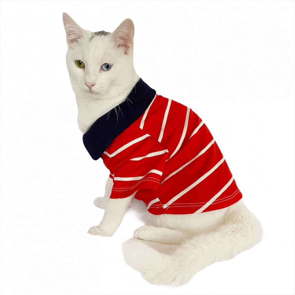 Red Stripe Elegance Polo Yaka Tişört Kedi Kıyafeti  Kedi Elbisesi