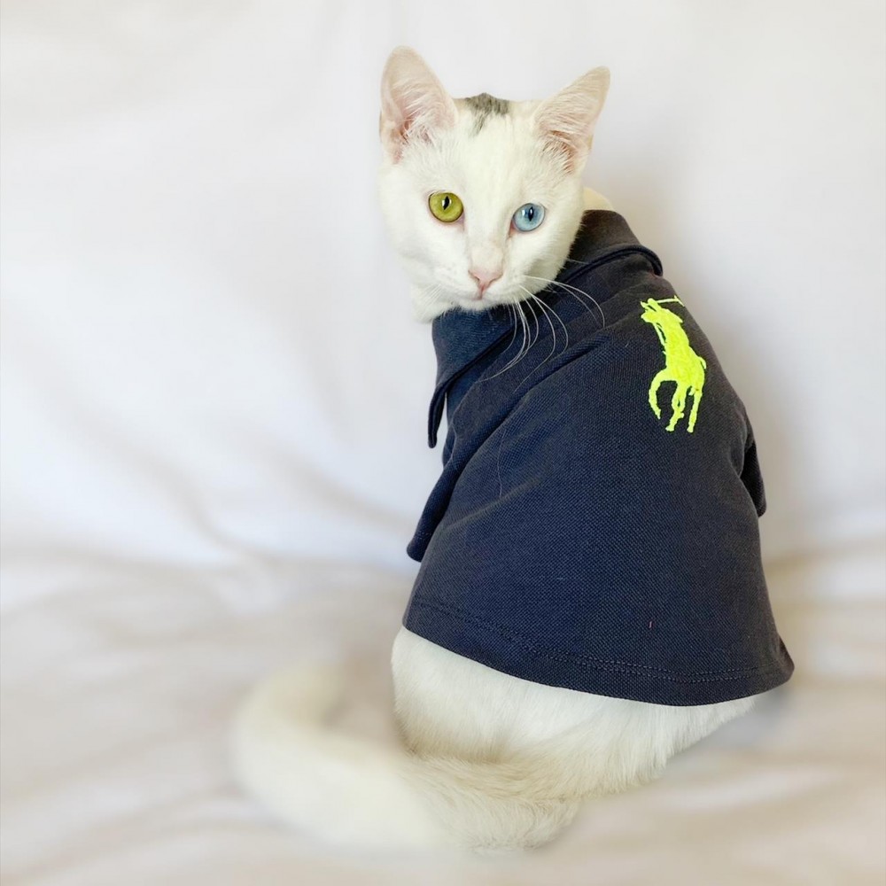 RL Grey Neon Polo Yaka Tişört Kedi Kıyafeti  Kedi Elbisesi