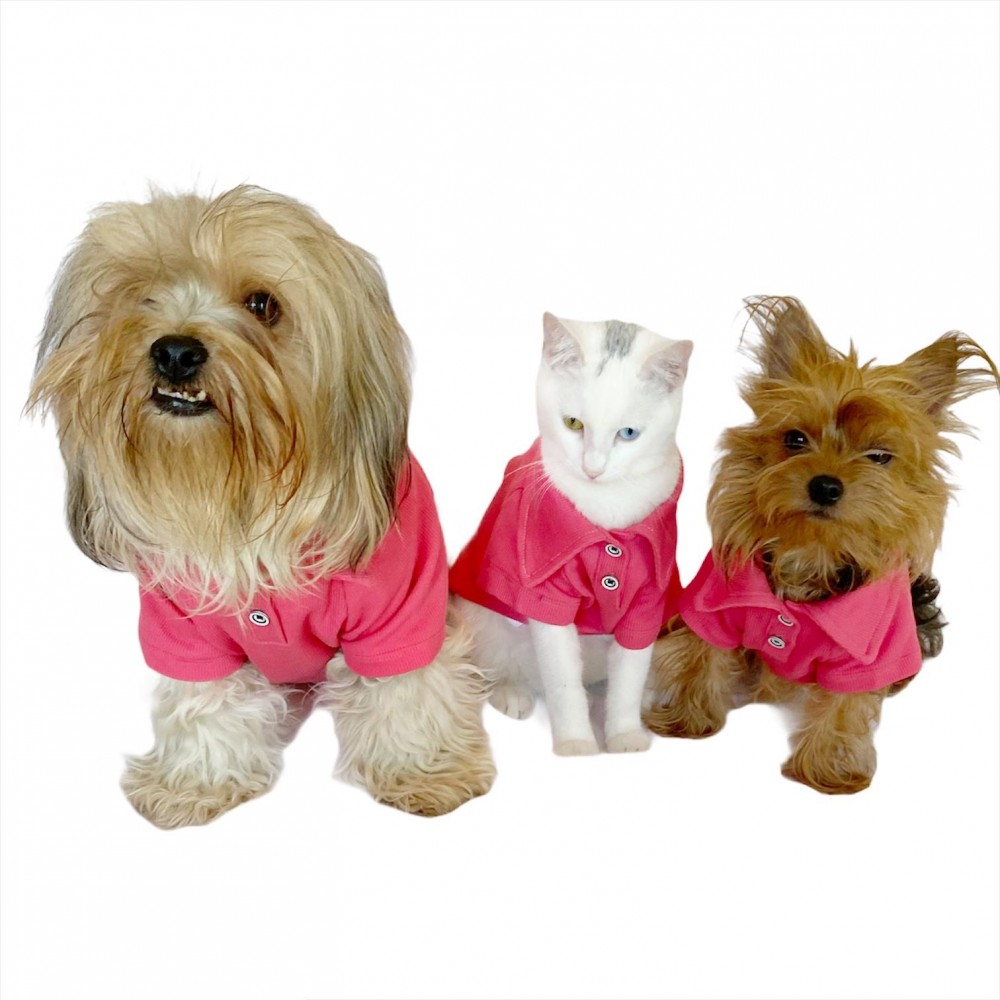 RL Pink Navy Polo Yaka Tişört Köpek Kıyafeti Köpek Elbisesi