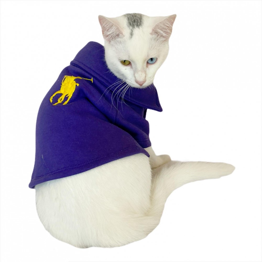RL Purple Yellow Polo Yaka Tişört Kedi Kıyafeti Kedi Elbisesi