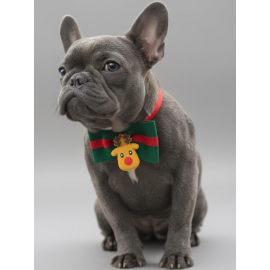 Royal Rudolph Premium Yılbaşı Köpek Papyonu | Limited Edition Luxe Aksesuar | Orta & Büyük Irklar İçin