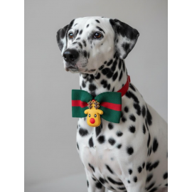 Royal Rudolph Premium Yılbaşı Köpek Papyonu | Limited Edition Luxe Aksesuar | Orta & Büyük Irklar İçin