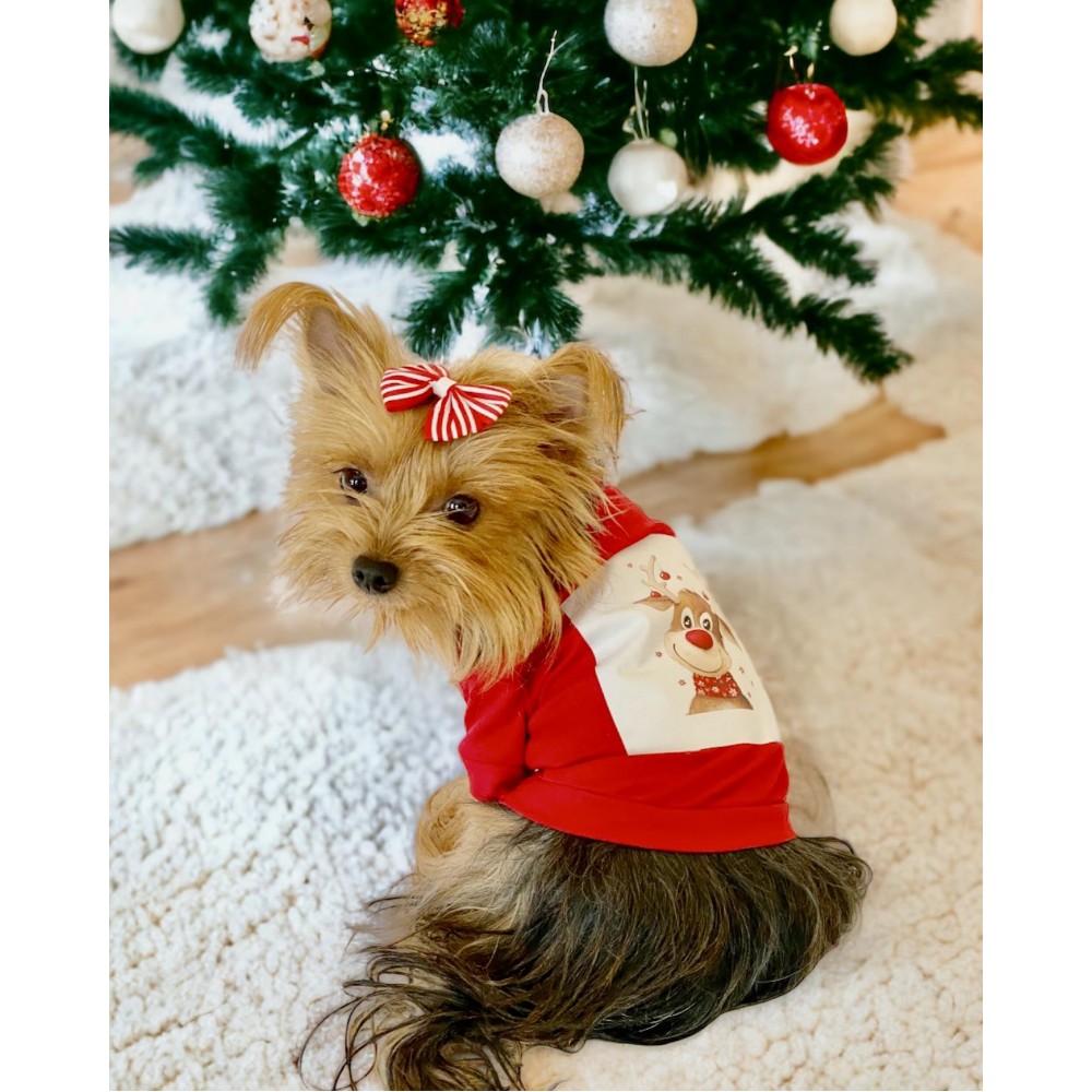 Rudolph Geyikli Köpek Tişörtü Yılbaşı Noel Christmas Köpek Elbisesi