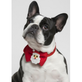 Rudolph Köpek Papyon Tasması | Kırmızı Fiyonk Boyun Aksesuarı | Noel Temalı Köpek Süsü | Orta ve Büyük Irklar İçin