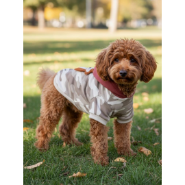 Safari Friends Kapüşonlu Köpek Sweatshirt – Küçük Irklar