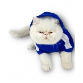 Saks mavi Adidog Kapşonlu Kedi Sweatshirt Kedi Kazağı Duo