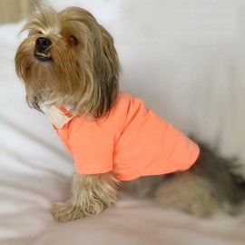 Salmon Flash Polo Yaka Tişört Köpek Kıyafeti Köpek Elbisesi