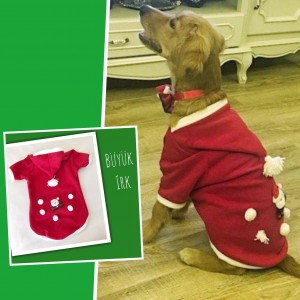 Santa Polar Yılbaşı Kıyafeti Orta ve Büyük Irk 