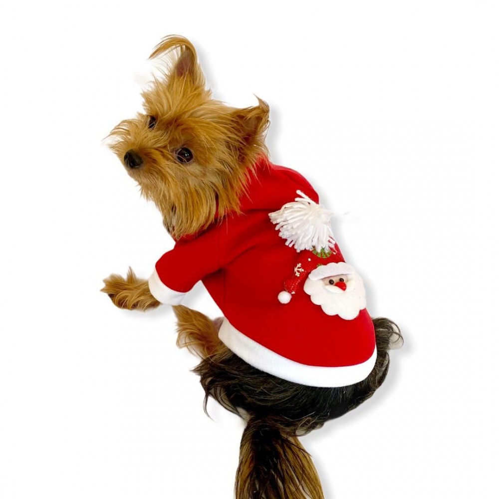 Santa Neo Kapşonlu Polar Noel Yılbaşı Köpek Kıyafeti