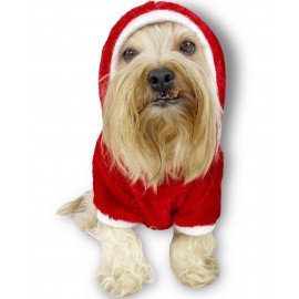 Gold Santa Yılbaşı Köpek Sweatshirt, Noel Sweatshirt