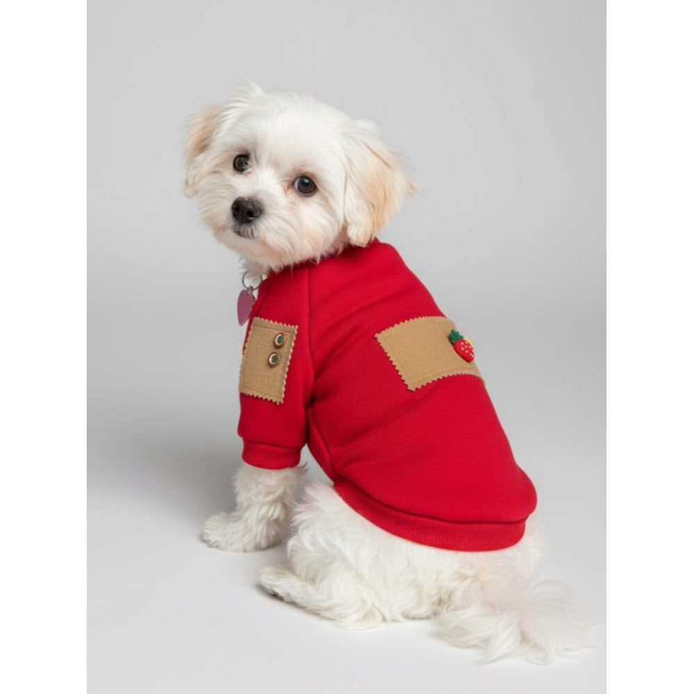 Sevimli Çilek Detaylı Kırmızı Köpekler için Polar Sweatshirt