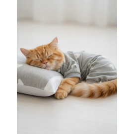 Soft Hearts Kedi Uyku Seti | Penye Kedi Tulum ve Mini Yastık Takımı | Pamuklu | Tüy Dökülmesini Azaltır | 