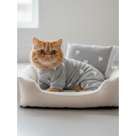 Soft Hearts Kedi Uyku Seti | Penye Kedi Tulum ve Mini Yastık Takımı | Pamuklu | Tüy Dökülmesini Azaltır | 