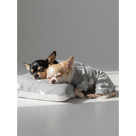 Soft Hearts Köpek Uyku Takımı | Pamuklu Penye Köpek Tulumu ve Mini Yastık | Küçük Irklar İçin | Tüy Dökülmesini Azaltır