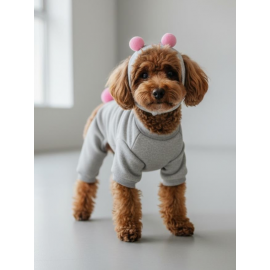 Ponpon Şeker Köpek Tulumu & Bere Takımı | Şardonlu Polar Kumaş | Küçük Irk Köpekler İçin | Tüy Dökülmesini Azaltır