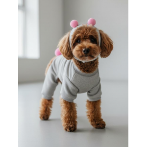 Ponpon Şeker Köpek Tulumu & Bere Takımı | Şardonlu Polar Kumaş | Küçük Irk Köpekler İçin | Tüy Dökülmesini Azaltır