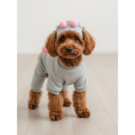 Ponpon Şeker Köpek Tulumu & Bere Takımı | Şardonlu Polar Kumaş | Küçük Irk Köpekler İçin | Tüy Dökülmesini Azaltır