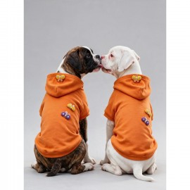 Mariposa Orange Hoodie | Kelebek Detaylı İnce Polar Orta Ve Büyük Irk Köpek Sweatshirt 