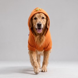 Mariposa Orange Hoodie | Kelebek Detaylı İnce Polar Orta Ve Büyük Irk Köpek Sweatshirt 