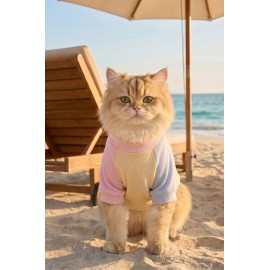 Soft Sun Kedi Tişörtü | Cepli Şeker Renkli Yazlık Kedi Kıyafeti 