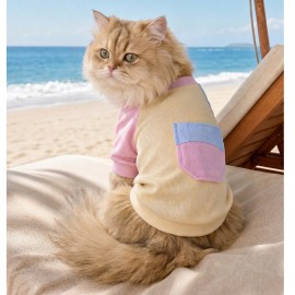 Soft Sun Kedi Tişörtü | Cepli Şeker Renkli Yazlık Kedi Kıyafeti 