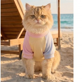 Soft Sun Kedi Tişörtü | Cepli Şeker Renkli Yazlık Kedi Kıyafeti 