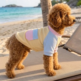 Soft Sun Köpek Tişörtü | Cepli Şeker Renkli Yazlık Köpek Kıyafeti | Küçük Irklar İçin