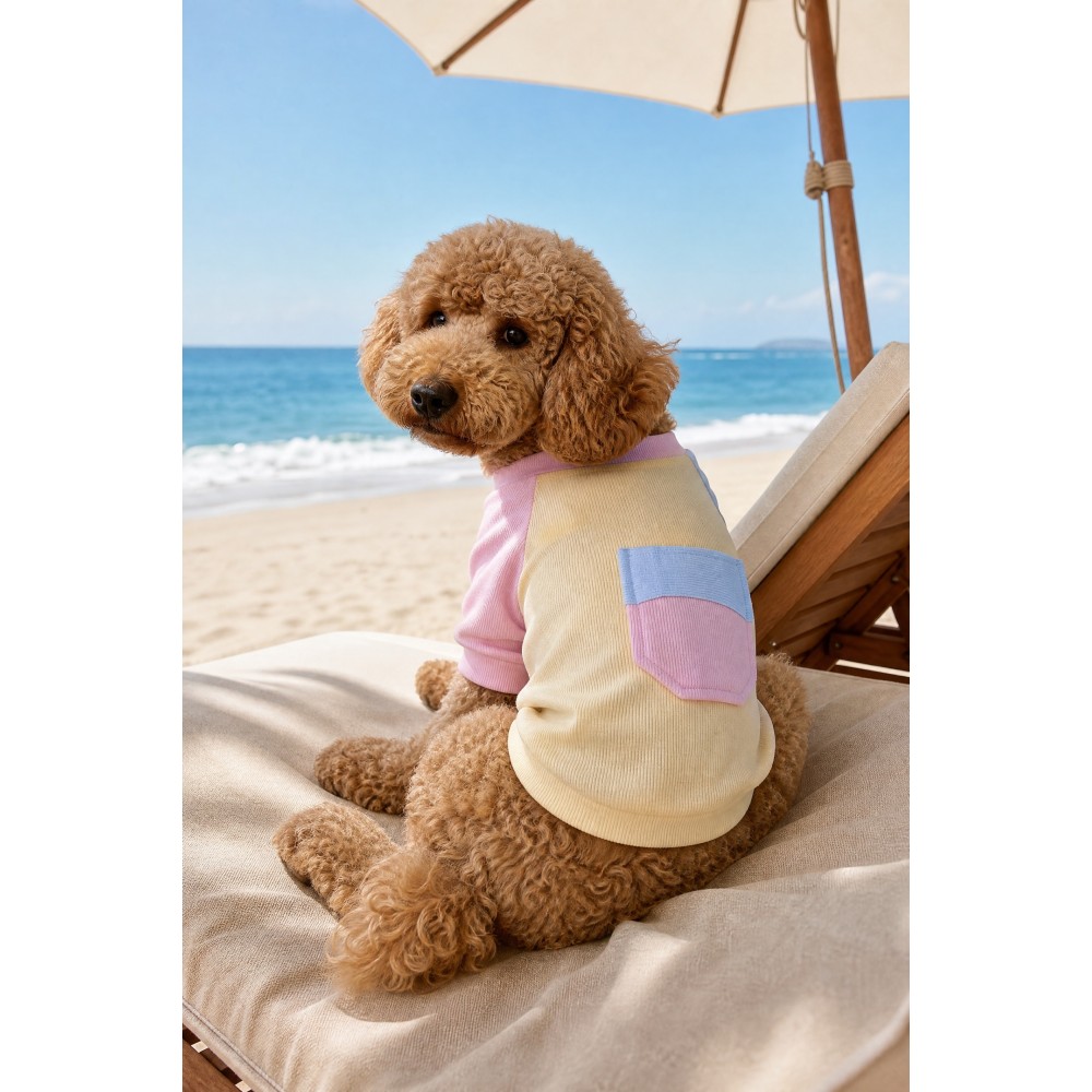 Soft Sun Köpek Tişörtü | Cepli Şeker Renkli Yazlık Köpek Kıyafeti | Küçük Irklar İçin
