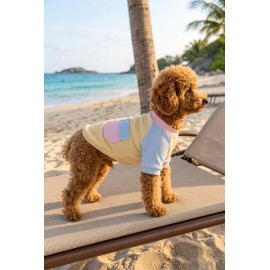 Soft Sun Köpek Tişörtü | Cepli Şeker Renkli Yazlık Köpek Kıyafeti | Küçük Irklar İçin