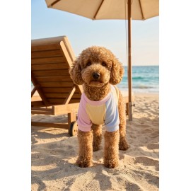 Soft Sun Köpek Tişörtü | Cepli Şeker Renkli Yazlık Köpek Kıyafeti | Küçük Irklar İçin