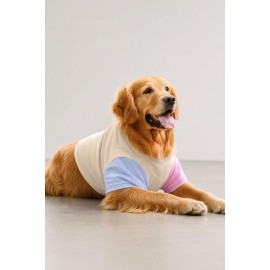 Soft Sun Orta ve Büyük Irk Köpek Tişörtü | Sarı Mavi Pembe Yazlık Köpek Kıyafeti